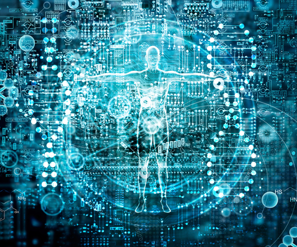 利物浦大学Anatomy and Human Biology解剖学和人类生物学本科BSc辅导