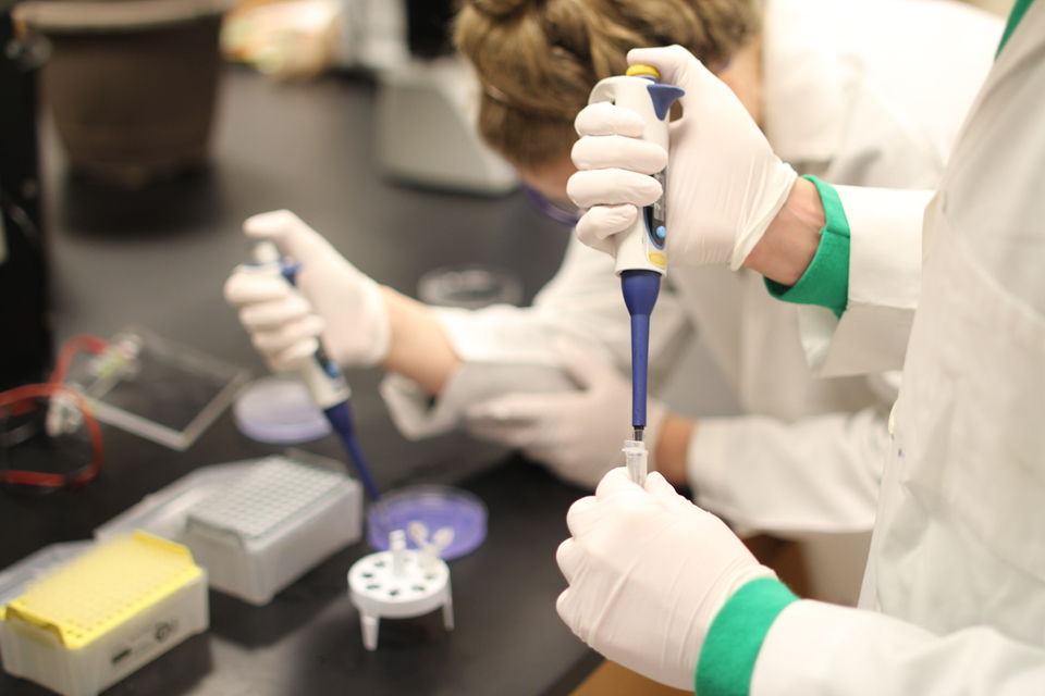 英国纽卡斯尔大学Bachelor of Biomedical Science生物医学本科辅导