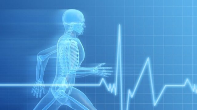 英国爱丁堡大学Applied Sport Science (BSc)应用运动科学辅导