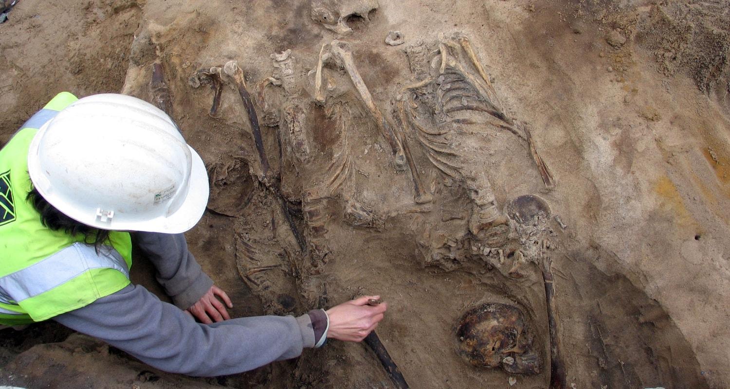 英国谢菲尔德Archaeology考古学专业课程辅导补习
