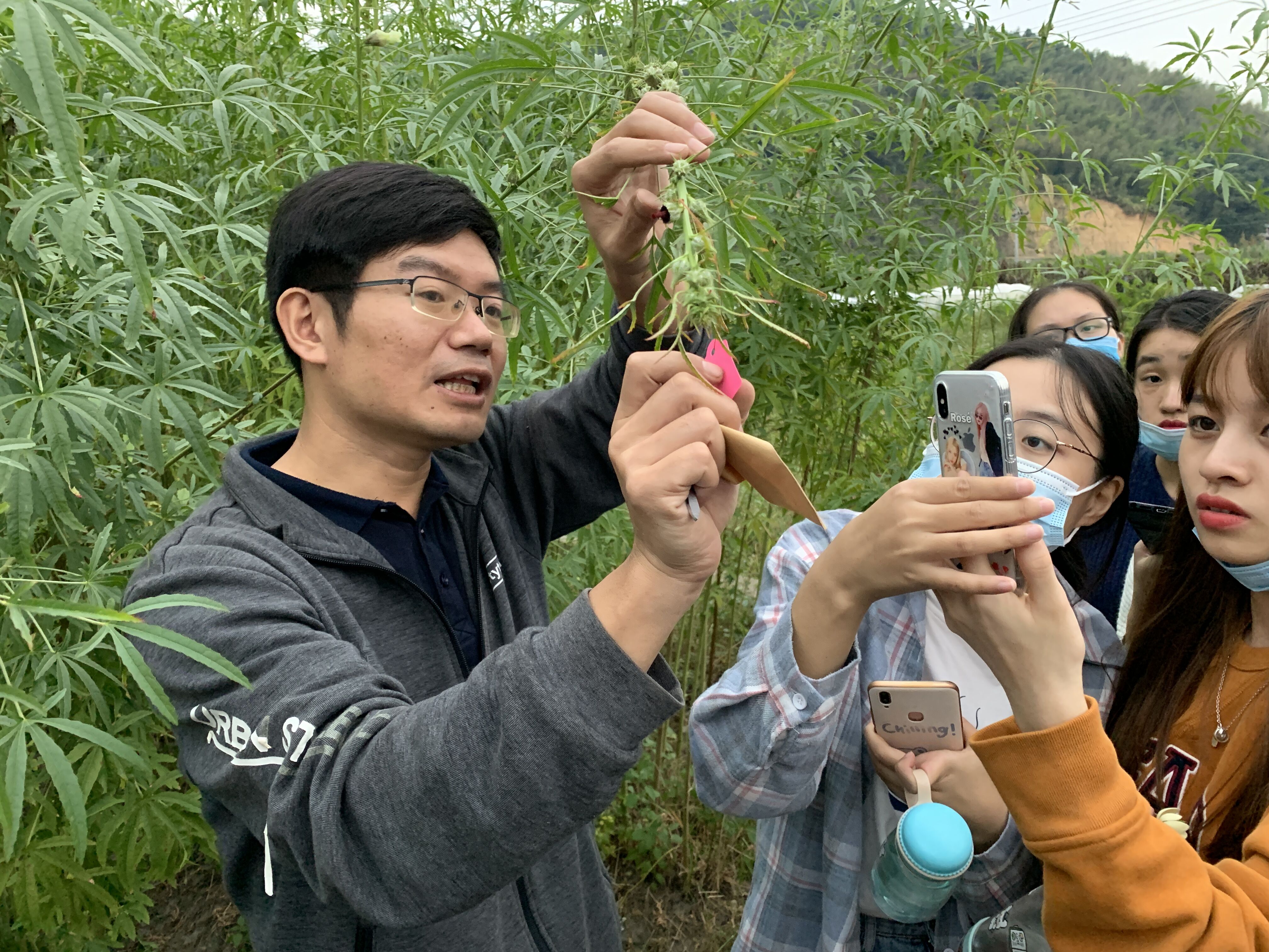 哈珀亚当斯大学学院农业与作物管理知识