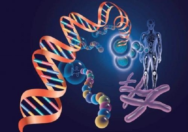 赫瑞瓦特大学生物科学专业课程内容概述