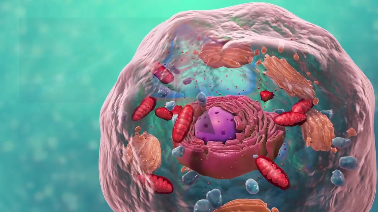 斯特林大学细胞生物学课程研究