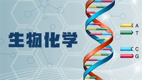 斯特拉思克莱德大学生物化学主要课程学习结构