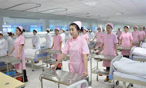 边山大学护理专业课程结构指导