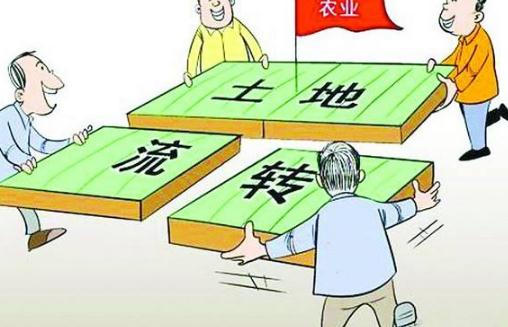 英国皇家农学院农村土地管理学课程考试知识点复习
