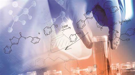赫尔大学生物医学研究生课程结构