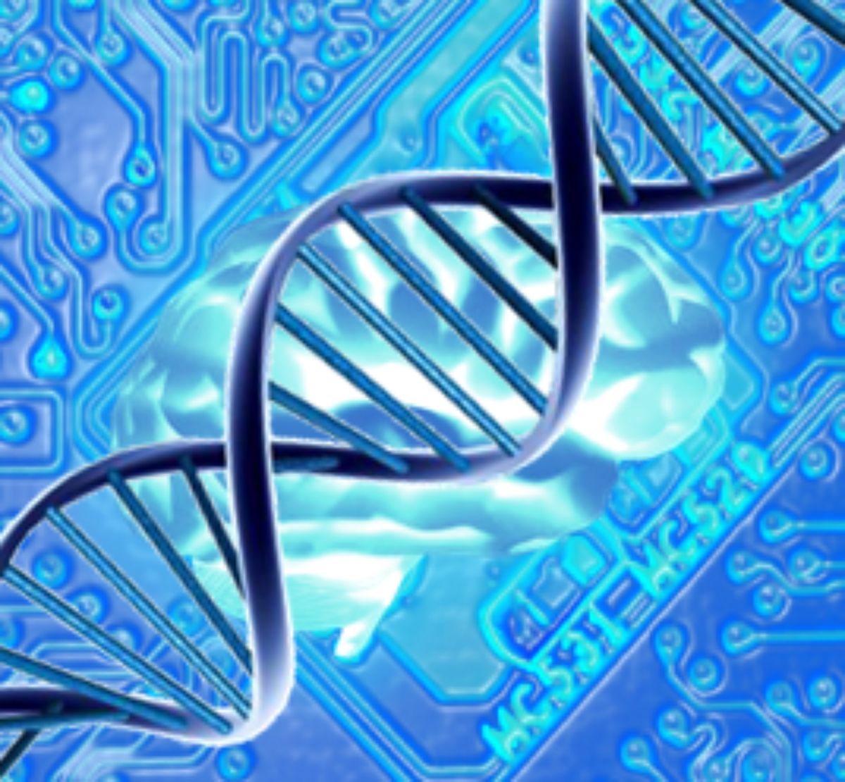 阿尔斯特大学生物学主要学习目标概述