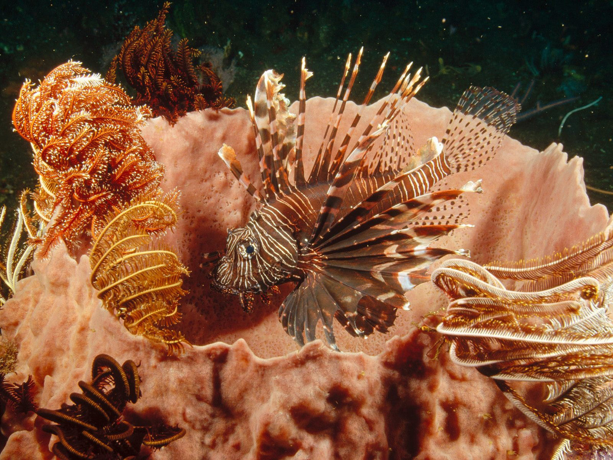 埃塞克斯大学海洋生物学硕士相关知识要领