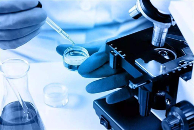 英国布里斯托大学生物医学工程论文写作技巧