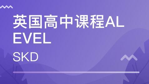 alevel课程网课