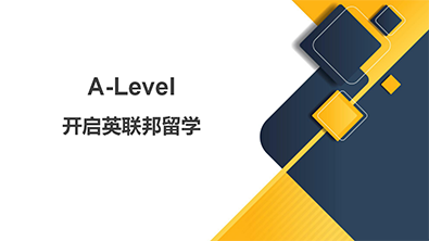 alevel商务管理辅导