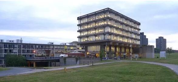 埃塞克斯大学本科预科课程