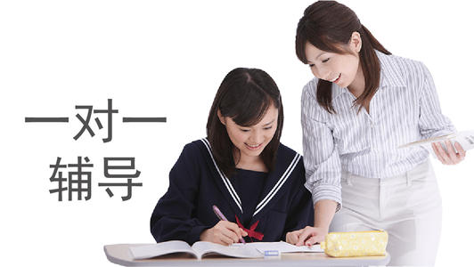 统计学一对一辅导