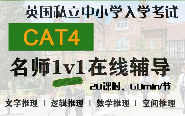 Cognitive Abilities Test 4cat4一对一培训