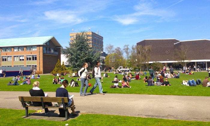 University of reading business and management课程辅导