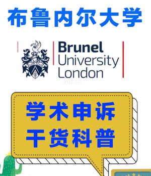 布鲁内尔大学学术申诉干货科普