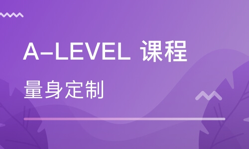 alevel会计一对一网课辅导