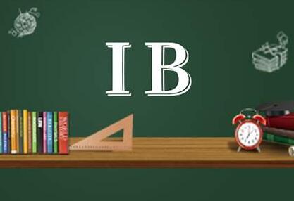 IB环境系统在线辅导