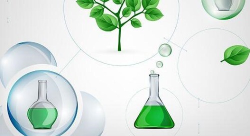 Alevel生物与化学在线辅导