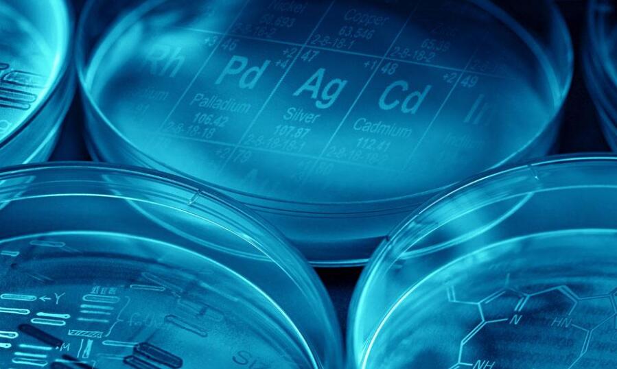 AP生物Biology一对一辅导