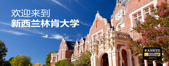 University of LincolnEngineering management补课辅导