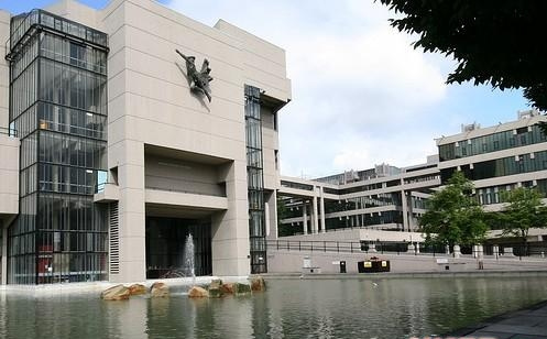 伦敦大学information management for business补课辅导