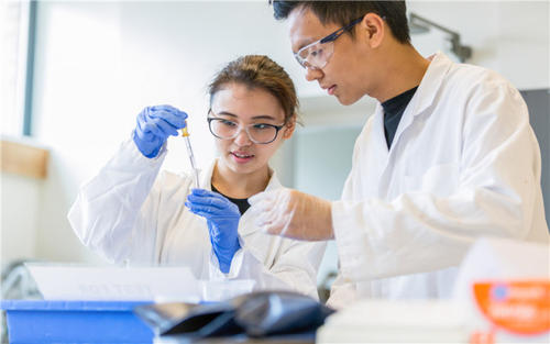 英国生物专业课预习辅导