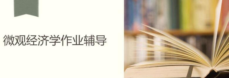 微观经济作业辅导