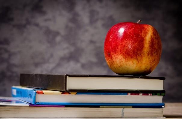 alevel心理学课程在线辅导