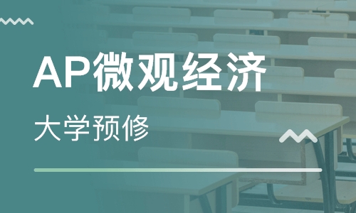 ap微观经济学线上一对一