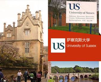 University of sussex萨塞克斯大学计量经济学