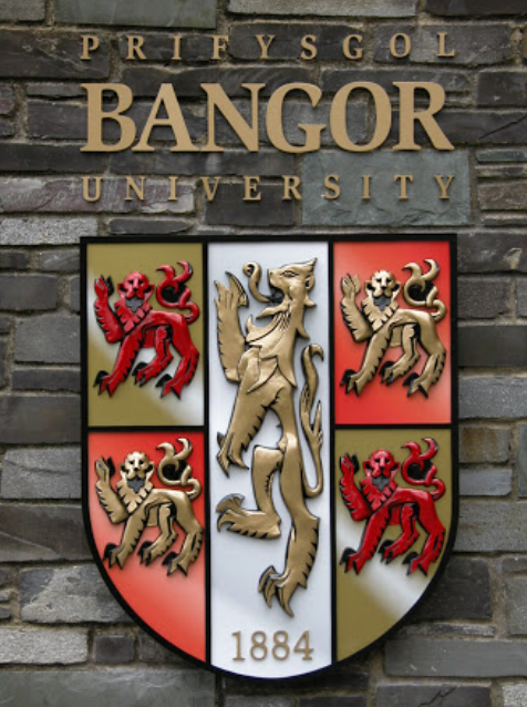 bangor班戈大学大一Business Economic