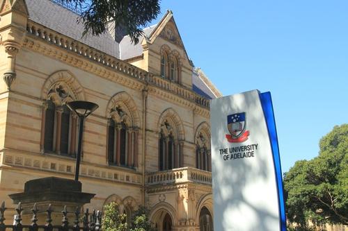 阿德莱德大学本科商科AACSB