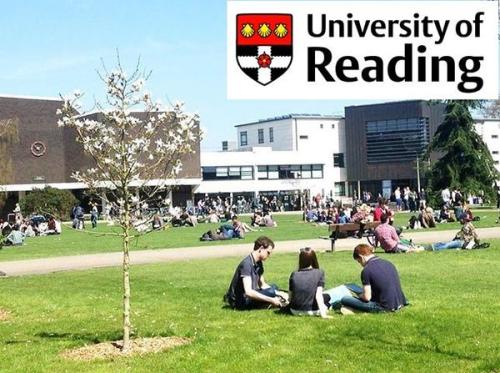 University of reading雷丁大学大一business and management工商管理辅导