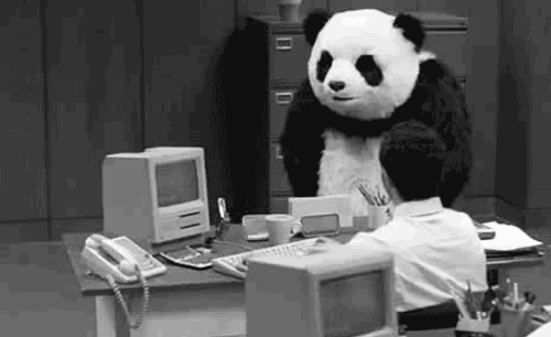 留学生Essay中常用的过渡词有哪些?