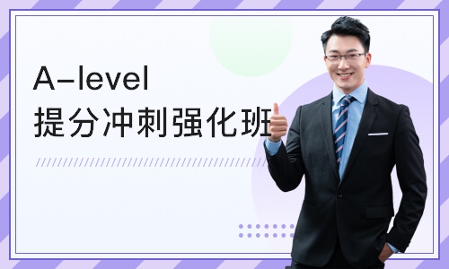 A- Level辅导补习机构