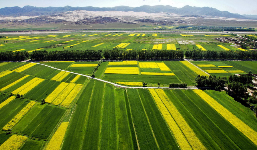 农业工程Agricultural Engineering学习方向！