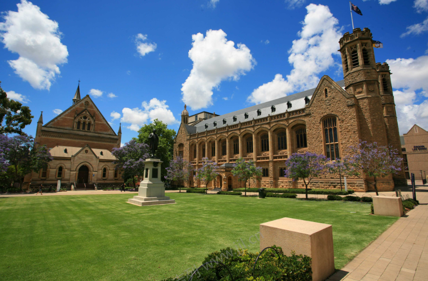 如何选择合适的留学生论文辅导服务？