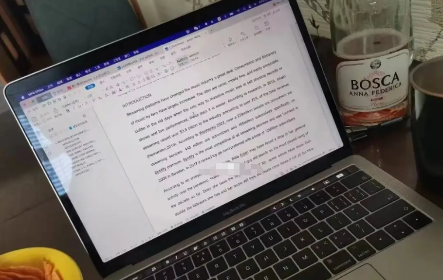 美国作业辅导机构哪个好一些啊?