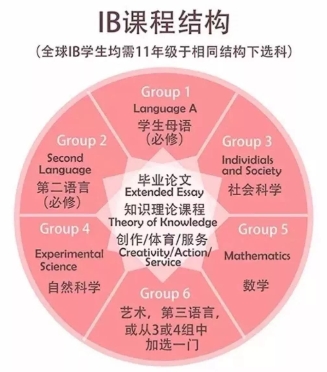 ibdp学什么？(ibdp和alevel课程是什么意思)