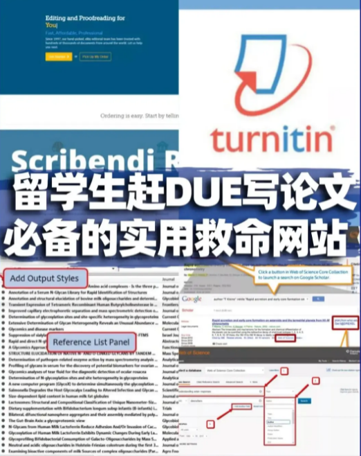 美国留学生论文辅导机构那家好？