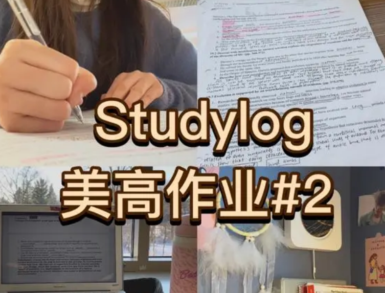 美国高中留学辅导多少钱？那个机构靠谱？