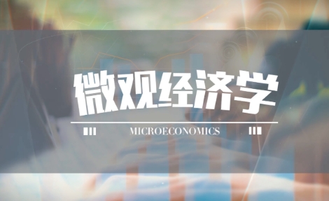 APMicroeconomics一对一课程学习效率低，如何让成绩有所提升？