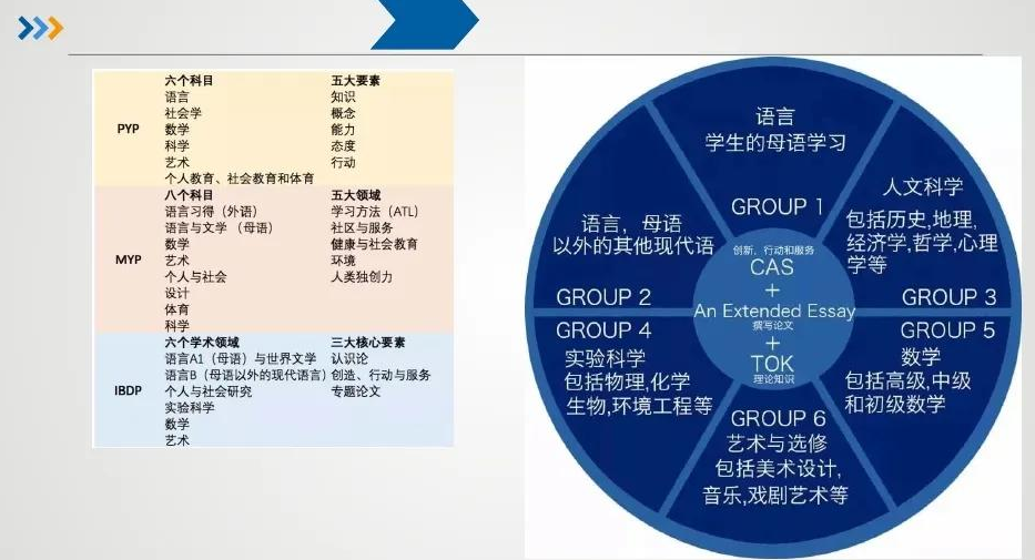Risk Theory课程基础太差怎么办？怎样才能拿高分？