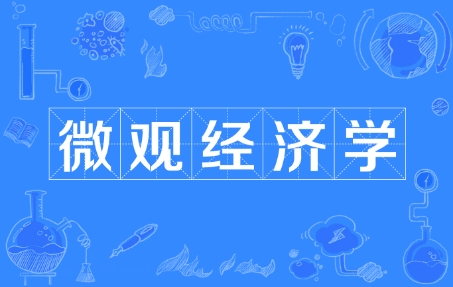 AP微观经济学一对一课程成绩下滑怎么办？有效计划助你实现学业突破！