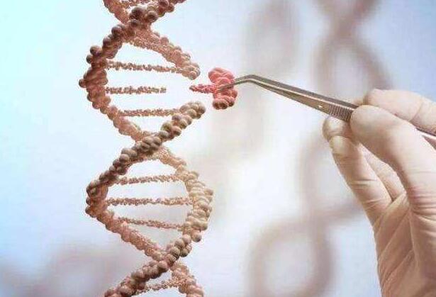 ap科学界Sciences一对一课程在挂科边缘？高效方法助你走出低分困局！