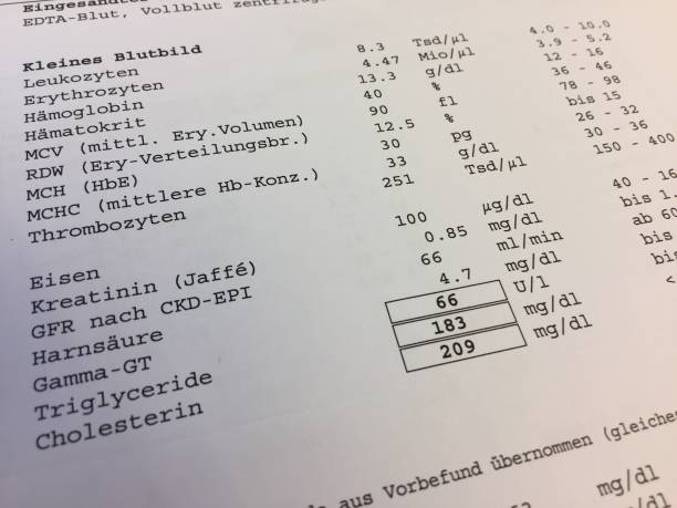 ISEE考试9~12年级语言推理真题讲解