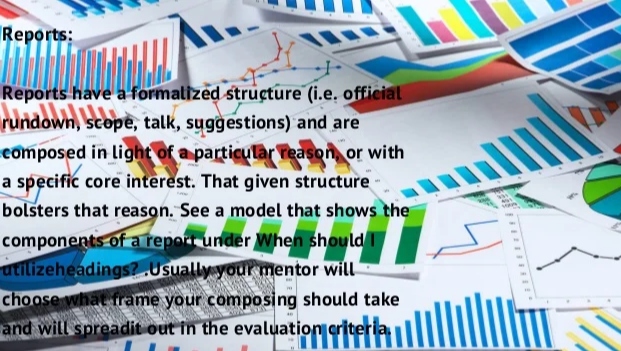 essay和report区别