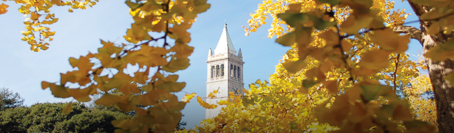 ucb内测课程详解(法学英语)